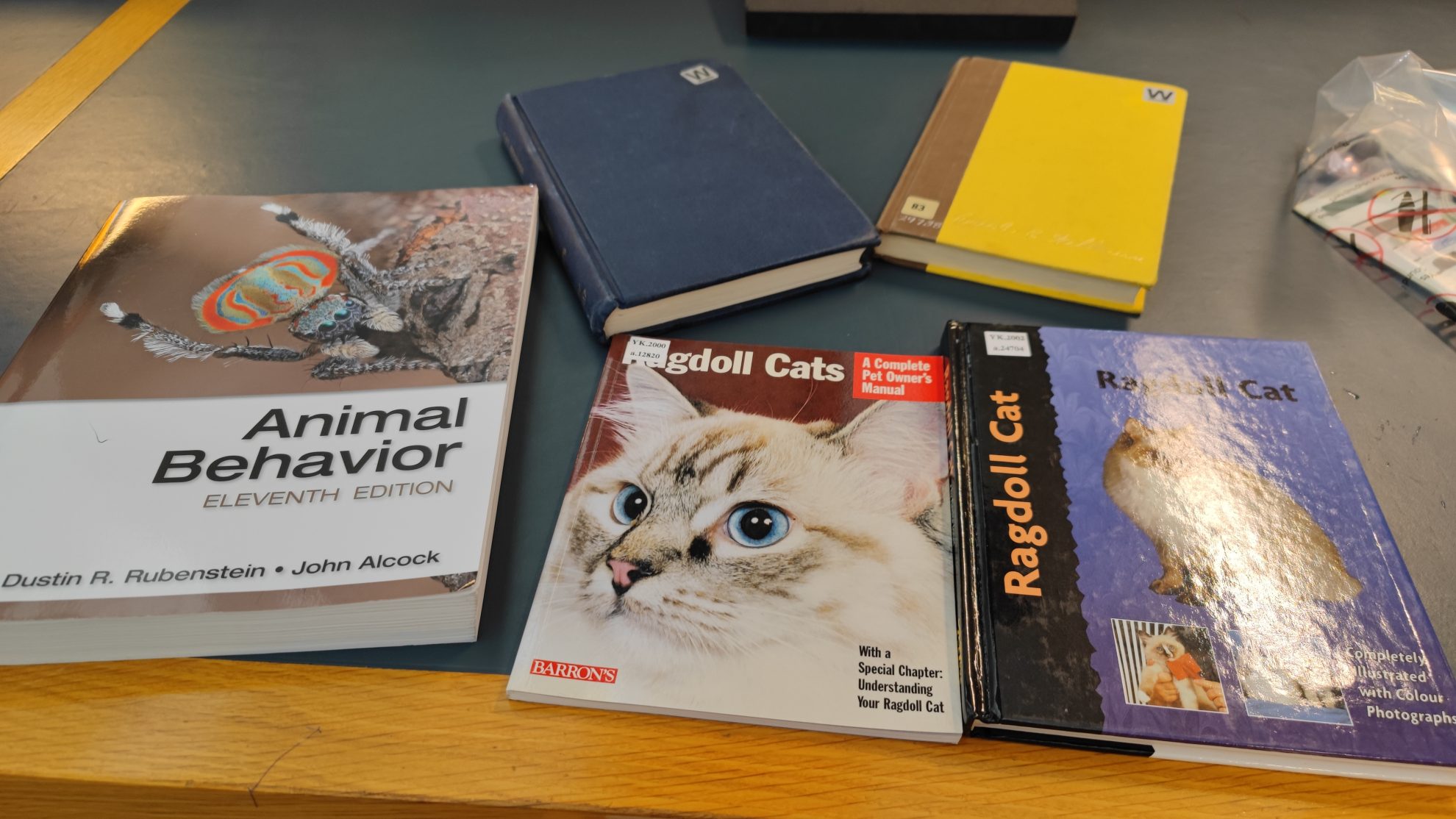 Bibliographic references Yingyue Feng MA 3D Computer Animation